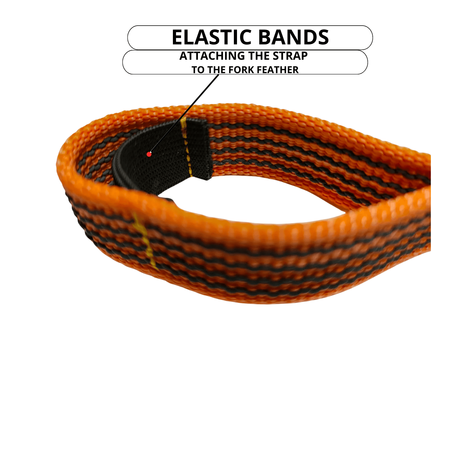 Reinforced strap (front)