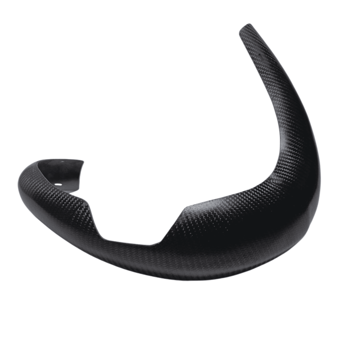 Carbon Resonator Guard | Beta RR 2013-2016