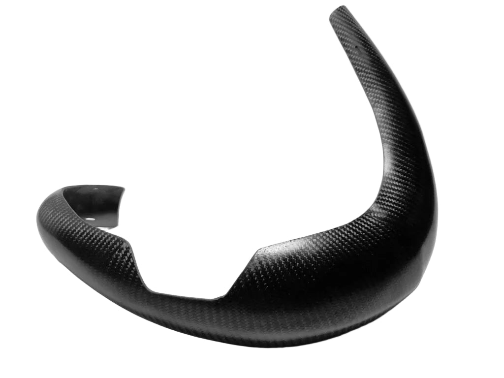 Carbon Resonator Guard | Beta RR 2013-2016