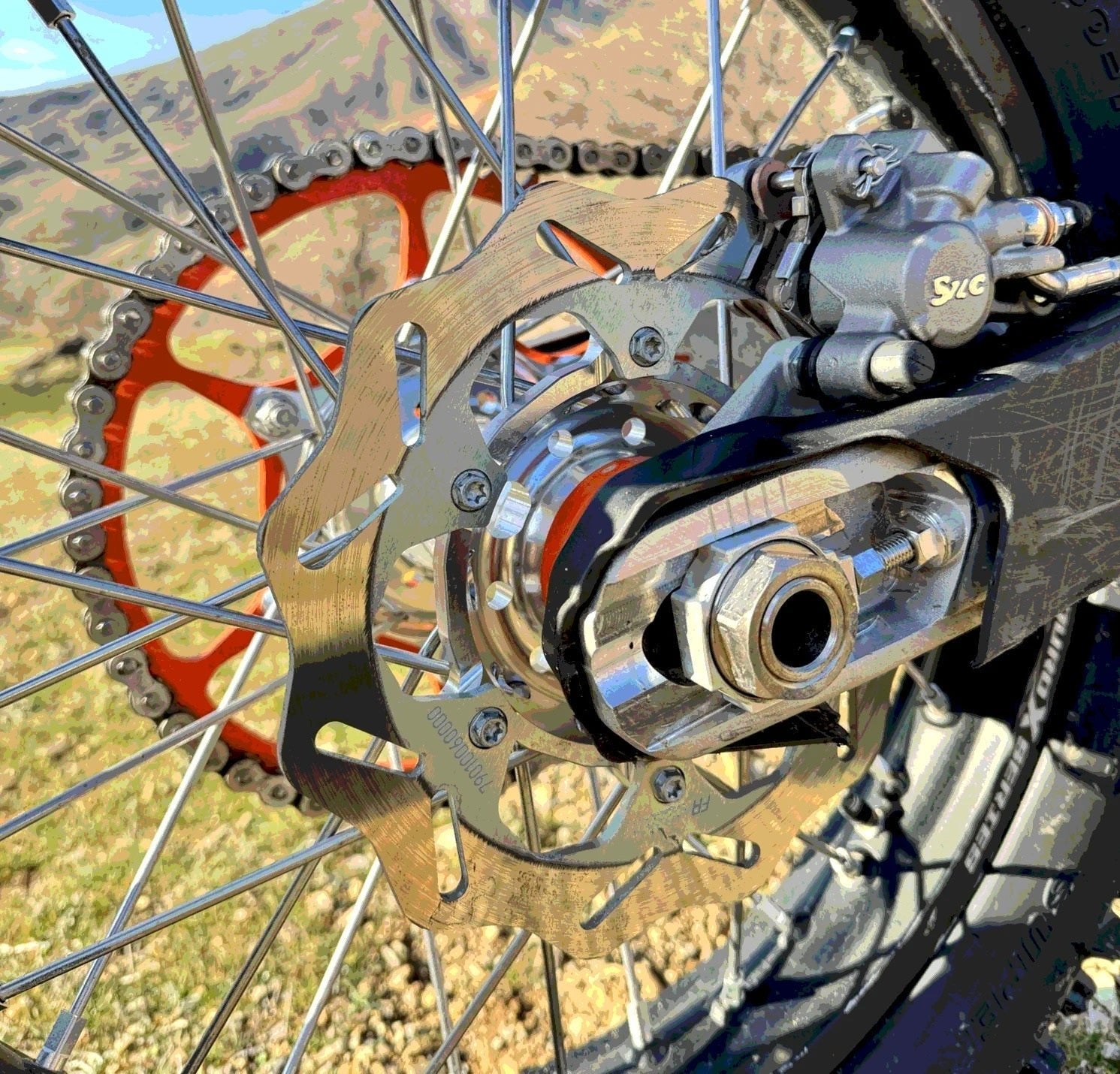Rear brake disc